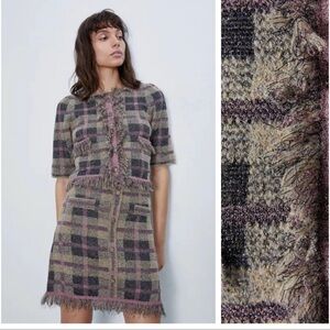 Zara Purple and Cream Sheath Midi Skirt with Peter Pan Collar